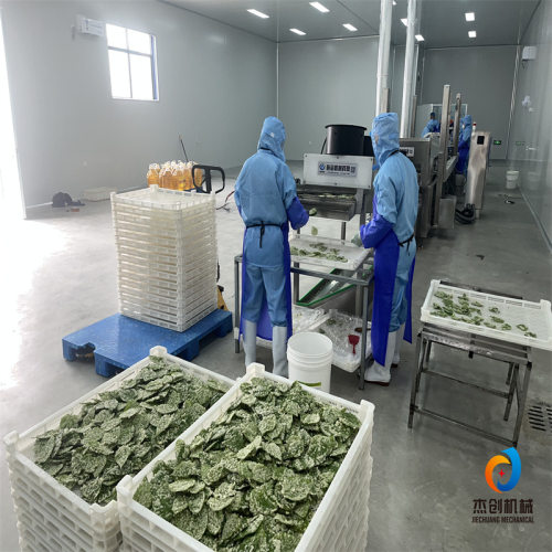 东方神叶加工设备源头厂家 翠叶裹浆机 香酥脆叶油炸机流水线