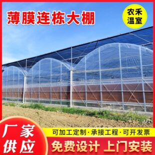 定制热镀锌8430薄膜连栋温室大棚钢架农业种植蔬菜外遮阳连体棚