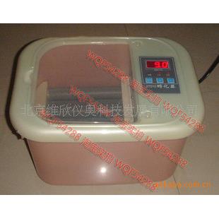 小鸡 鸟蛋 孵化器 孵化器，观察鸡蛋孵育过程，孵蛋器
