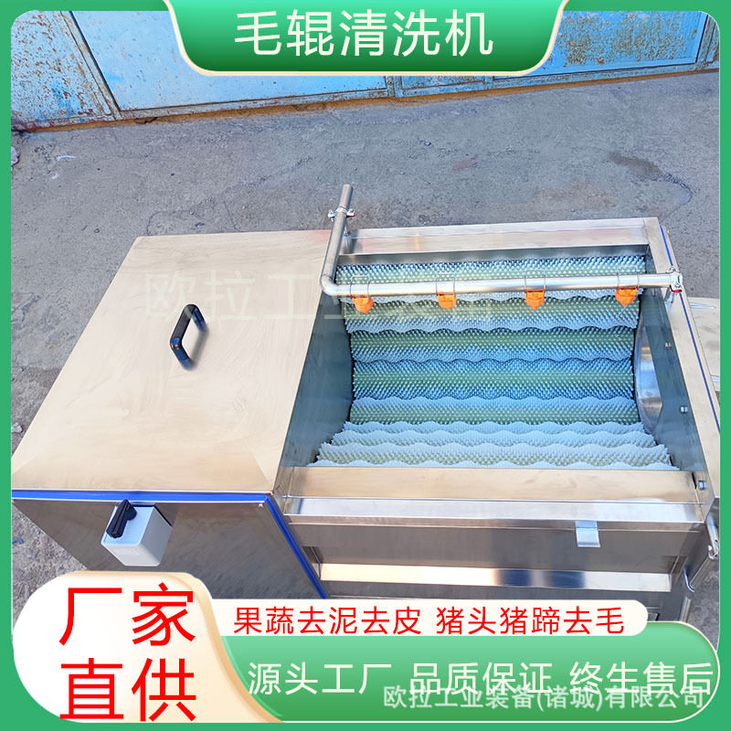 淡水鱼去鳞毛辊清洗设备毛刷地瓜去皮清洗机高速花生清洗机