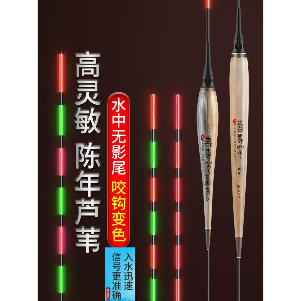 阿卢芦苇夜光漂咬钩变色电子漂醒目高灵敏浮漂无影超亮野钓鲫鱼漂