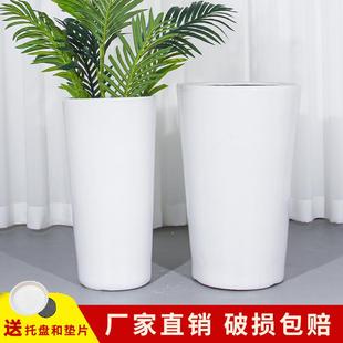 陶瓷花盆家用客厅特大号大口径种树简约个性 白色2024新款 摆件阳台