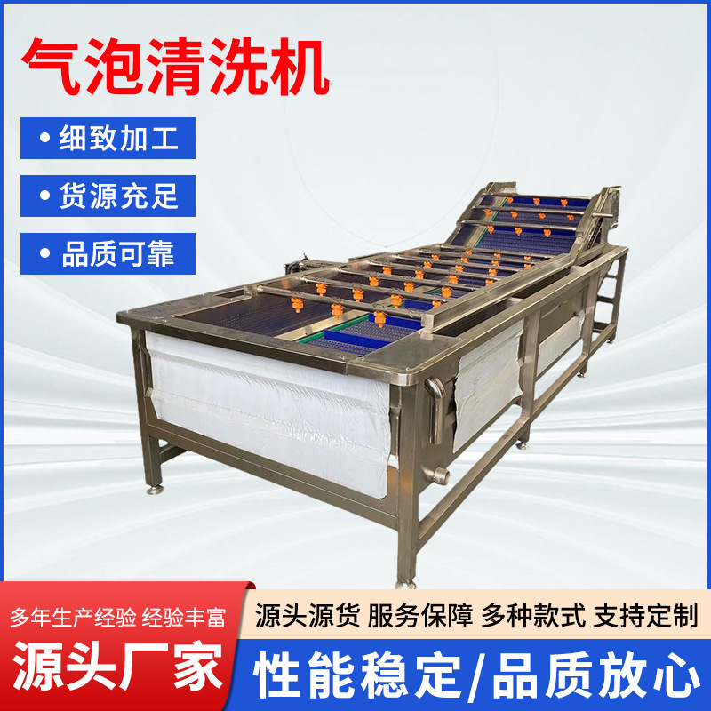 墨鱼气泡清洗机咖啡豆五谷杂粮清洗机草莓树莓翻浪式清洗设备