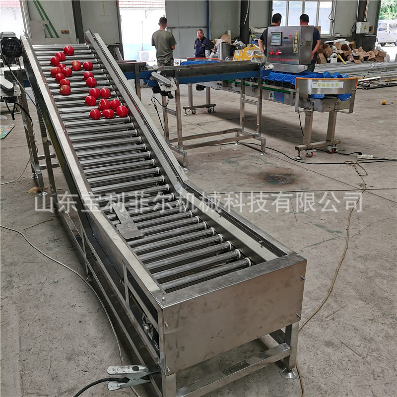 称重分选机 果蔬 自动 牡蛎分拣流水线龙虾小型 在线重量检测设备