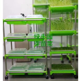 育苗盘发芽盘架子豆芽苗菜任意组合单双排水培种植苗盘架子小麦草