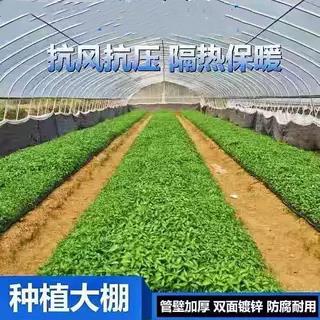 蔬菜大棚骨架钢管温室定制养殖大棚大棚连身连栋种植棚热度锌全套