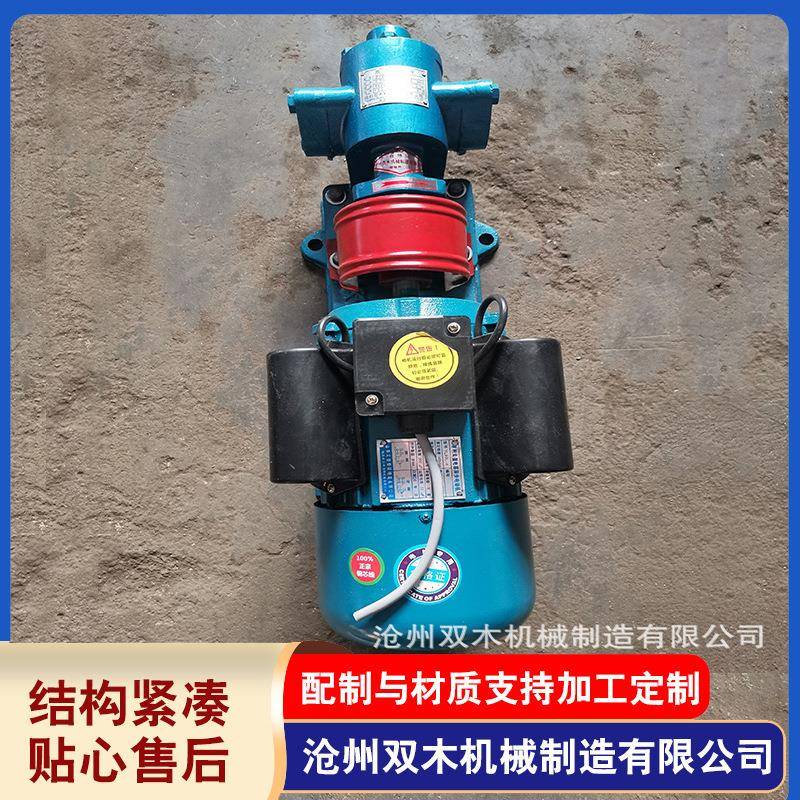 二/三相电B渣油泵重油齿轮泵毛油泵豆浆齿轮泵小型电动泵