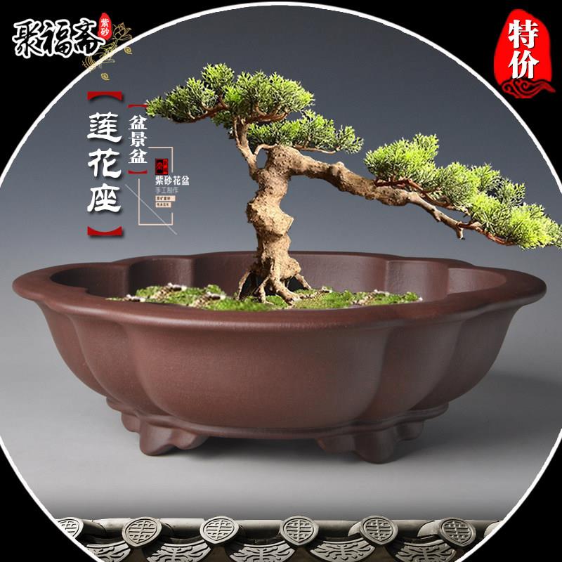 宜兴紫砂盆景花盆 大号假山造景盆小叶紫檀迎客松盆景花盆特价