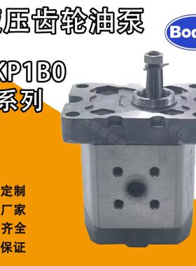 博顿BKP1B0D2.7T0L3/0.8/1.3/1.1/1.6/1.8/2.1/3.2/4.2T0L3齿轮泵