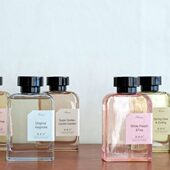 无火桂花香薰室内酒店家用室内卧室持久高级茶香氛精油熏香办公室