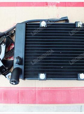 原厂蓝宝龙/小黄龙BN302  BJ300GS  302S 水箱风扇总成