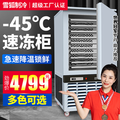 迷你速冻柜小型家用台面双层速冻冷藏柜商用食品冷冻柜彩色速冻机