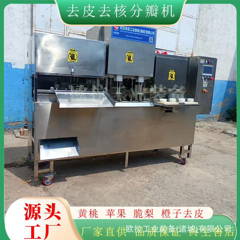橙子削皮机鲜桃去核分瓣设备水果罐头削皮加工生产线食品级