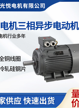 Y315L2-200KW-4—H足功率节能NSK轴承SKFCCS证书船舶专用节能认证