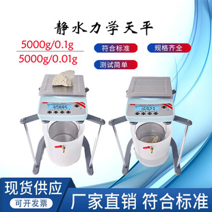 5000g 0.1g 0.01g实验室 静水天平5kg JY5001净水浸水力学天平