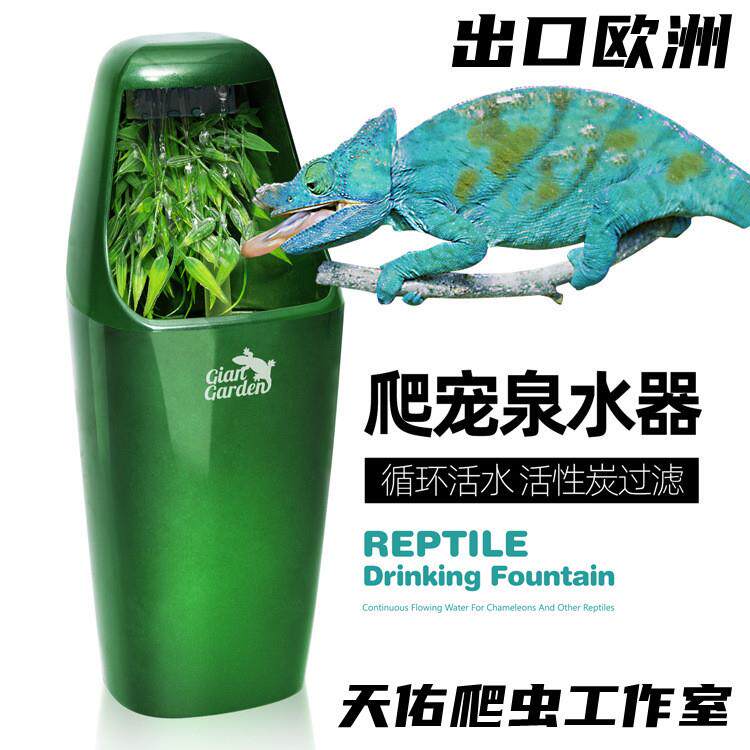 欧洲出口爬宠变色龙饮水器 宠物爬宠饮水器/水盆