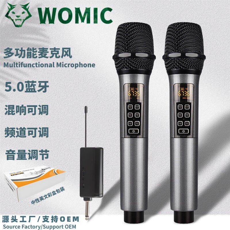 无线话筒家用音响卡拉OK麦克风演出会议舞台婚庆学校工程全能专业