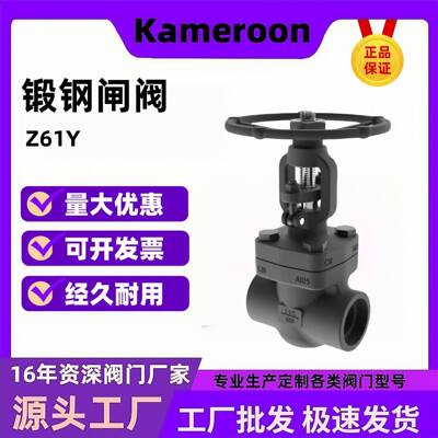 阀门厂家直销Z61Y-800LB锻钢闸阀A105多种材质价格实惠
