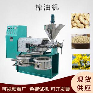 核桃仁螺旋榨油机冷热两用棕榈压油设备蓖麻籽苏籽炸油机