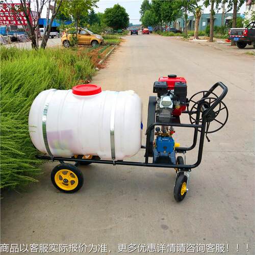 20汽油喷农雾打药机 花圃苗木手推LF-200式打0药机 作L物汽油打药