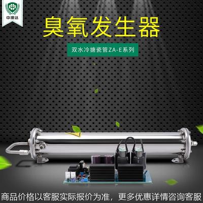 珍澳臭氧发生器搪瓷臭氧消毒机配件高浓度50臭氧水杀菌消毒设备