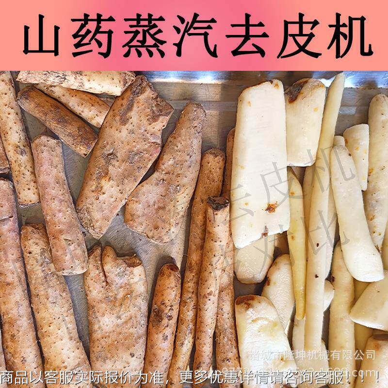 商大型山药汽削皮机 RQK全自物动土豆红薯脱皮机 西红柿用理蒸去