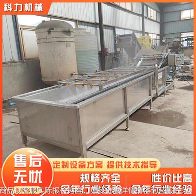 蔬菜果气泡清洗机机 果清FVL蔬清洗设备厂家 水清洗橘子柠檬气泡