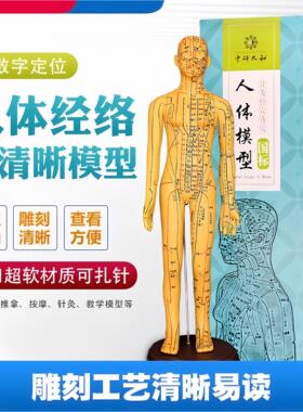 国风经络教学摆件 可活动肉粉色针灸人偶 中医针灸穴位教学模型
