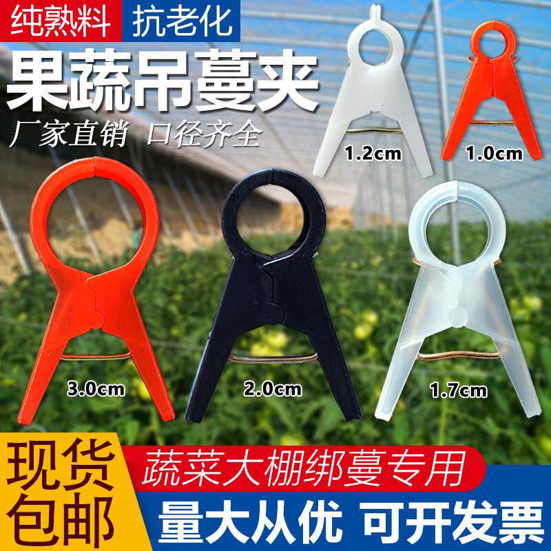 吊秧夹塑料绑蔓夹绑枝夹大棚黄瓜番茄蔬菜藤蔓固定夹农用吊蔓夹