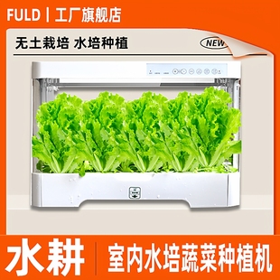 智能水培蔬菜种植机学校劳动课种菜器皿无土栽培教室种植箱绿植
