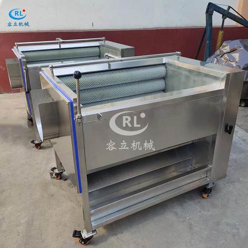 商用毛刷式大枣干洗机红枣酸枣去泥沙灰尘设备全自动冬枣清洗机