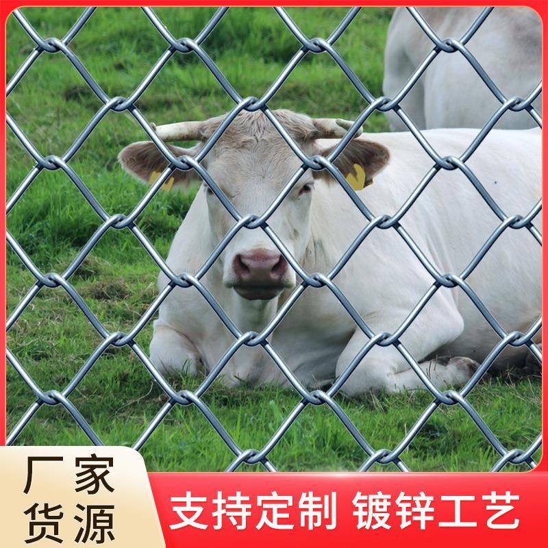 镀锌铁丝网养殖钢丝拦网山区果园圈地菱形铁丝防护网勾花网