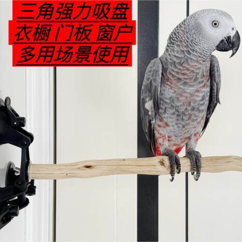 鹦鹉吸盘三角吸盘站架玻璃站架子磨爪空中站杆虎皮牡丹可携式