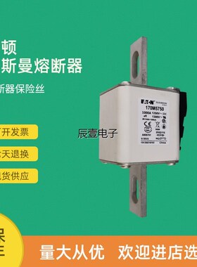 全新快速熔断器保险170Mn5750 170M5751 170M5758 170M5759
