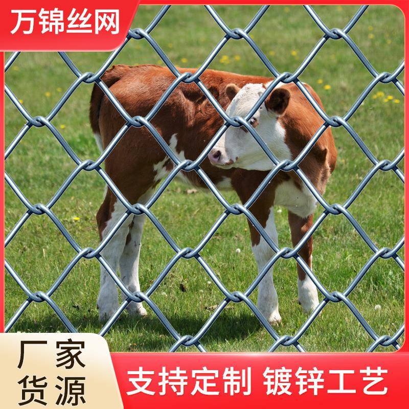 镀锌勾花网菱形铁丝网养殖隔离防护网果园养殖栅栏圈地防护勾花网