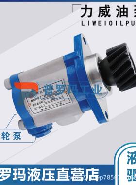 合肥力威3407020-A01-KM1AH动力车转向泵4DX转向泵QC16/13-4DX-KM