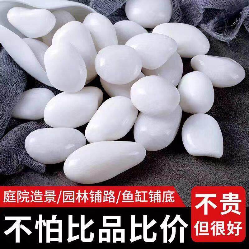 四川白色鹅卵石雨花石原石庭院铺地白石子鱼缸造景天然铺面小石头