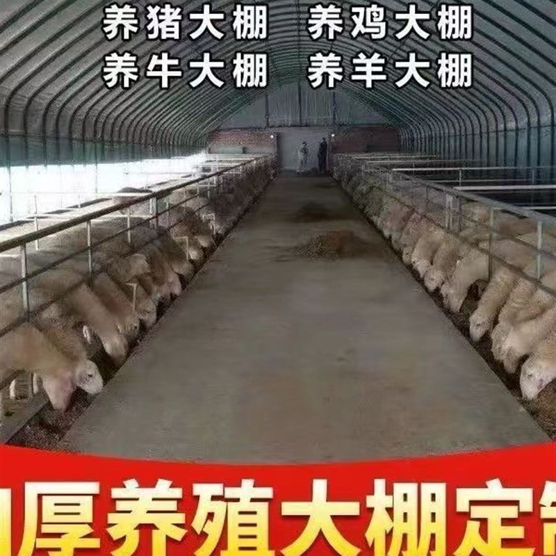 养殖大棚全套养鸡棚养鸭棚猪棚牛棚C羊棚兔棚蔬菜大棚温室大棚全