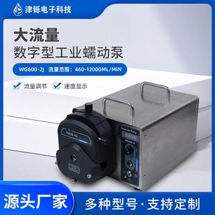 2J工业分配型智能蠕动泵大流量水泵恒流泵分装 WG600 灌注泵