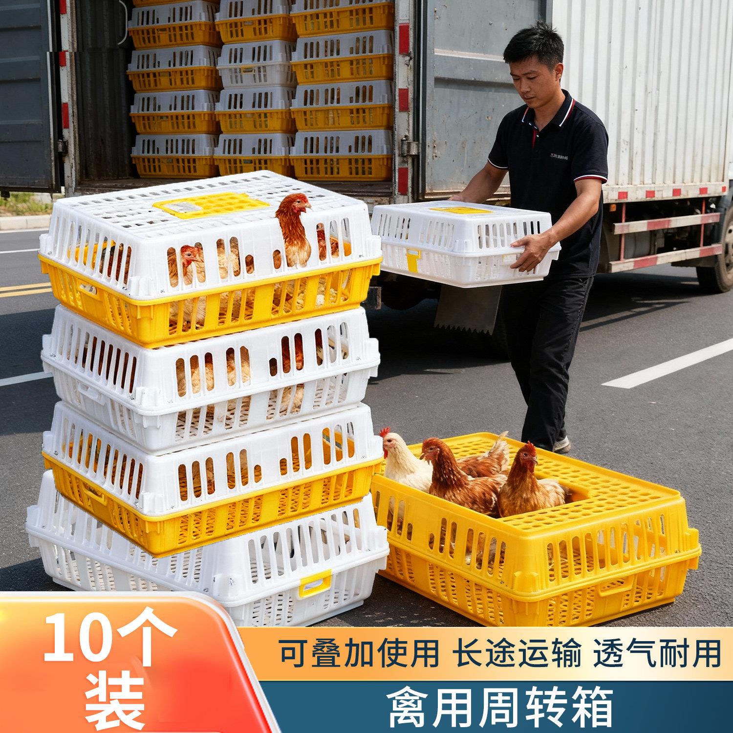 鸡笼周转箱运输鸡笼筐家用成鸡鸭鹅鸽子周转运输笼筐塑料养殖笼