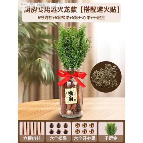 肉桂生财瓶摆件招聚玻璃瓶子diy材料客厅位乔迁新居搬家工位礼物