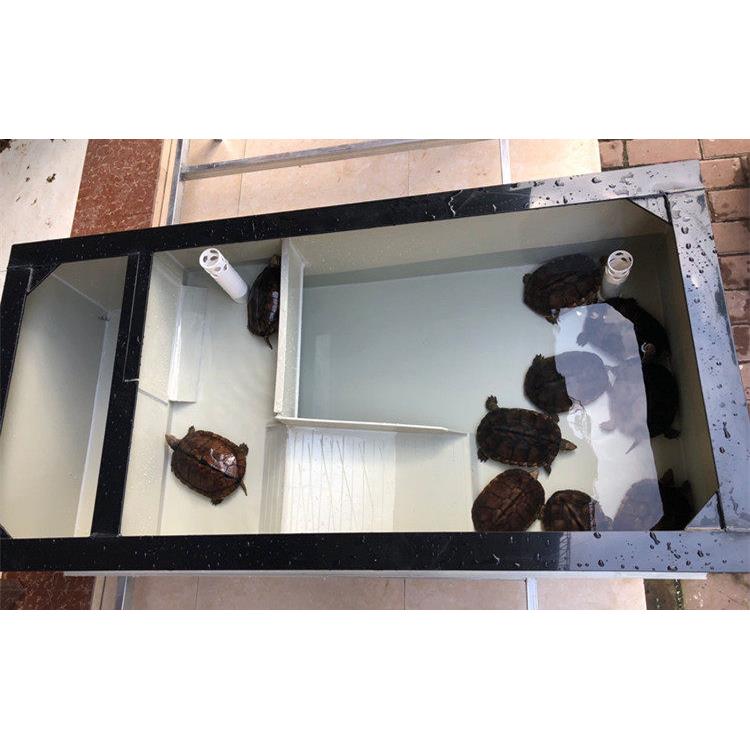 龟箱龟箱龟池超大型超大型产蛋沙池家用巴西龟箱Pp塑料生态池