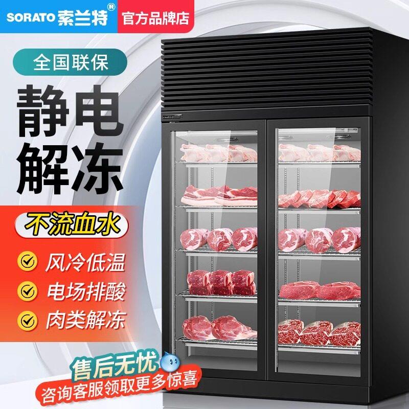 索兰特SLT-8283高压静电解冻柜 牛肉羊肉缓解 抑菌冷藏商用化冻机