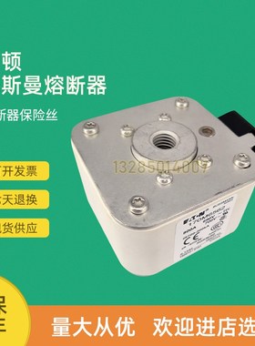全新快速熔断器保险170M6564 170M6565 170NM6566 170M6567
