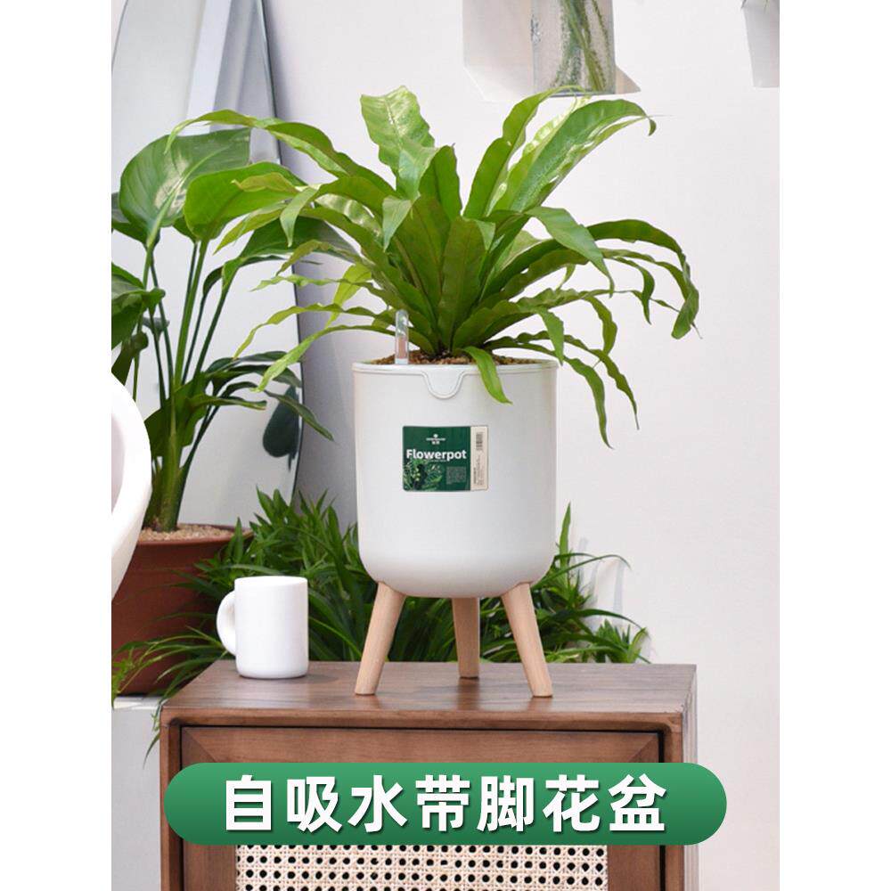 申邦现代无障碍豪华客厅带脚花盆自动吸水支架绿色植物大型简约创