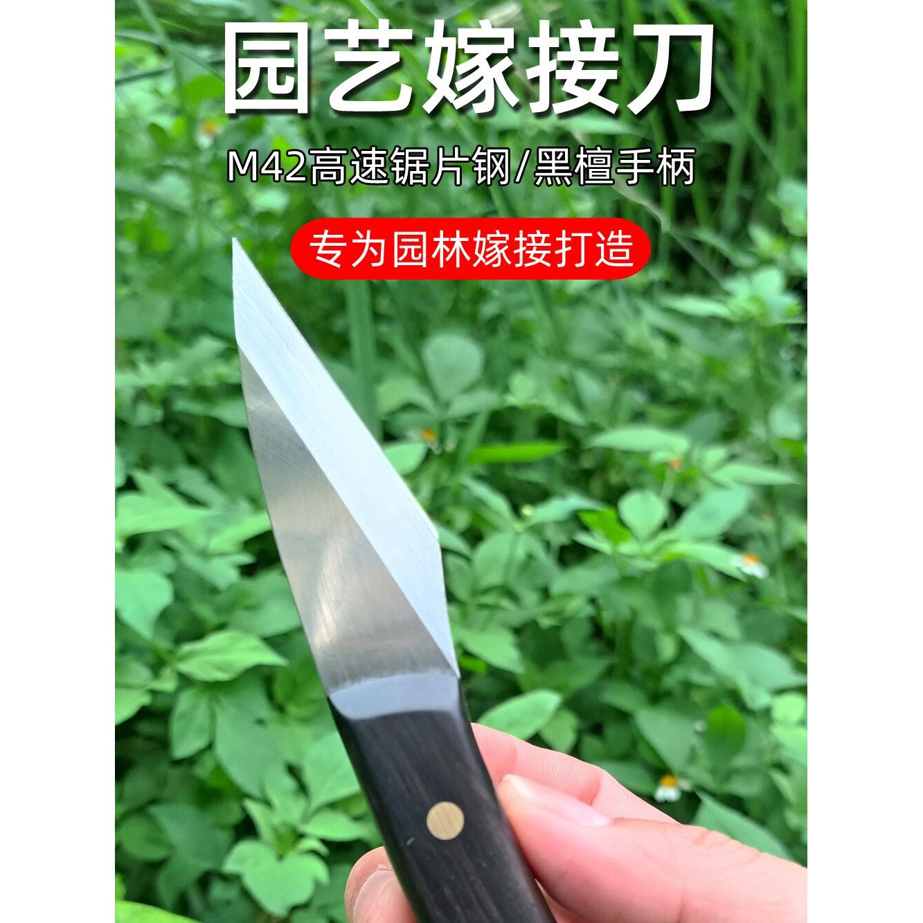 进口高速钢嫁接刀园艺金弹子芽接刀果树苗木园林盆景盆栽嫁接工具