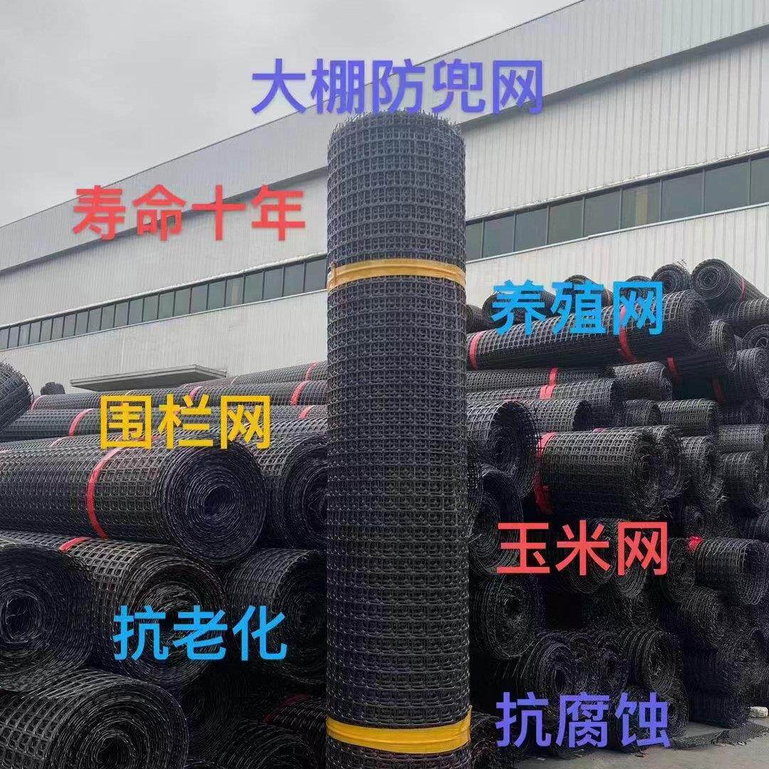 加厚围鸡鸭塑料网特厚养殖网果园菜园塑料围栏网家用玉米网方格网