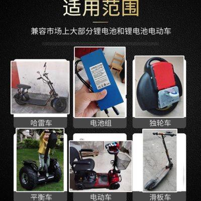 锂电池电动车充电器42V48V36V24V54.6V2A电车锂离子哈雷平衡车通