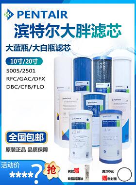滨特尔大蓝瓶滤芯10寸20寸大胖PP棉RFC DFX GAC覆合滤芯家用前置