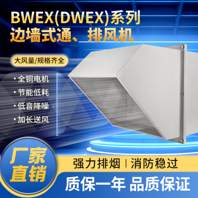 边墙轴流风机DWEX方形壁式轴流风机防爆防腐防雨工业排风低噪